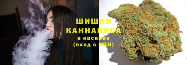 прущая мука Вяземский