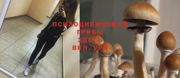 прущая мука Вяземский