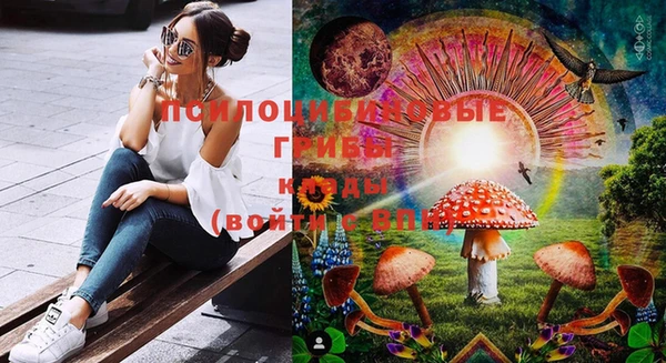 тгк Вязники