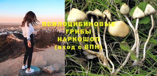 прущая мука Вяземский