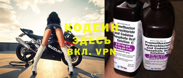 прущая мука Вяземский